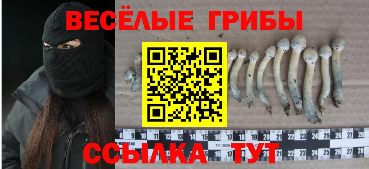 как найти   Псилоцибиновые грибы мухоморы  Вход с VPN  Иваново 